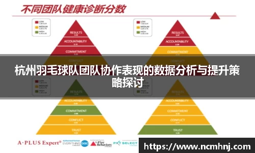 杭州羽毛球队团队协作表现的数据分析与提升策略探讨